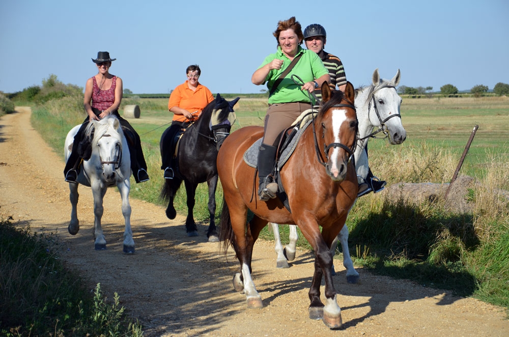 Vereinsmeisterschaft und Pferdetaufe 2013 014 © Roland Vidmar