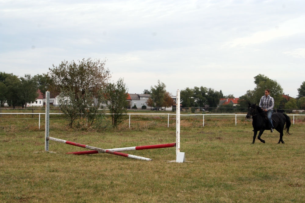 Vereinsmeisterschaft Reitverein Apetlon 2012 006 © Roland Vidmar