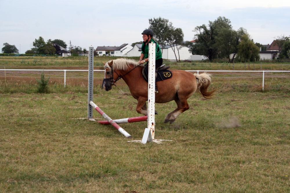 Vereinsmeisterschaft Reitverein Apetlon 2012 018 © Roland Vidmar