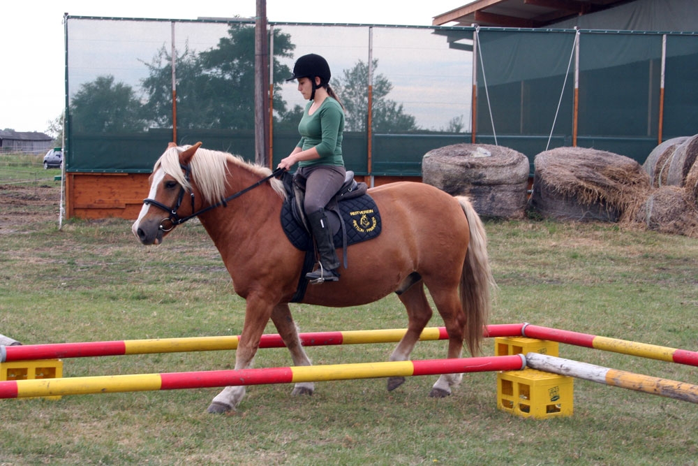 Vereinsmeisterschaft Reitverein Apetlon 2012 020 © Roland Vidmar