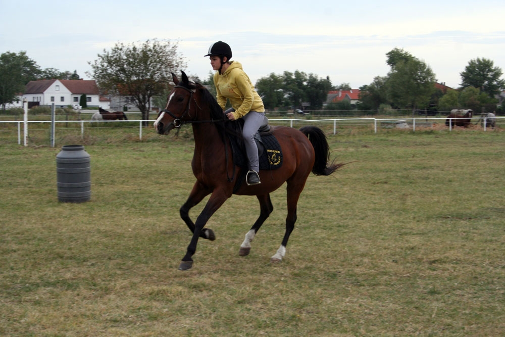 Vereinsmeisterschaft Reitverein Apetlon 2012 025 © Roland Vidmar