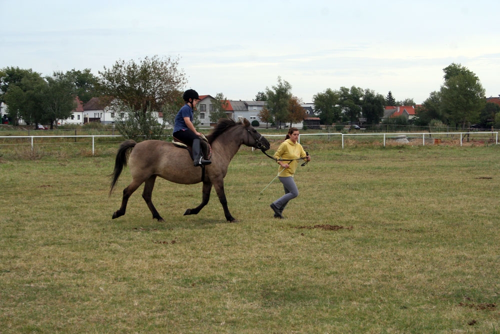 Vereinsmeisterschaft Reitverein Apetlon 2012 026 © Roland Vidmar