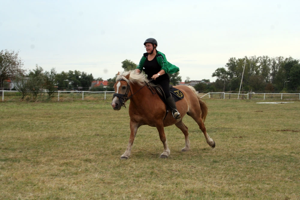 Vereinsmeisterschaft Reitverein Apetlon 2012 034 © Roland Vidmar