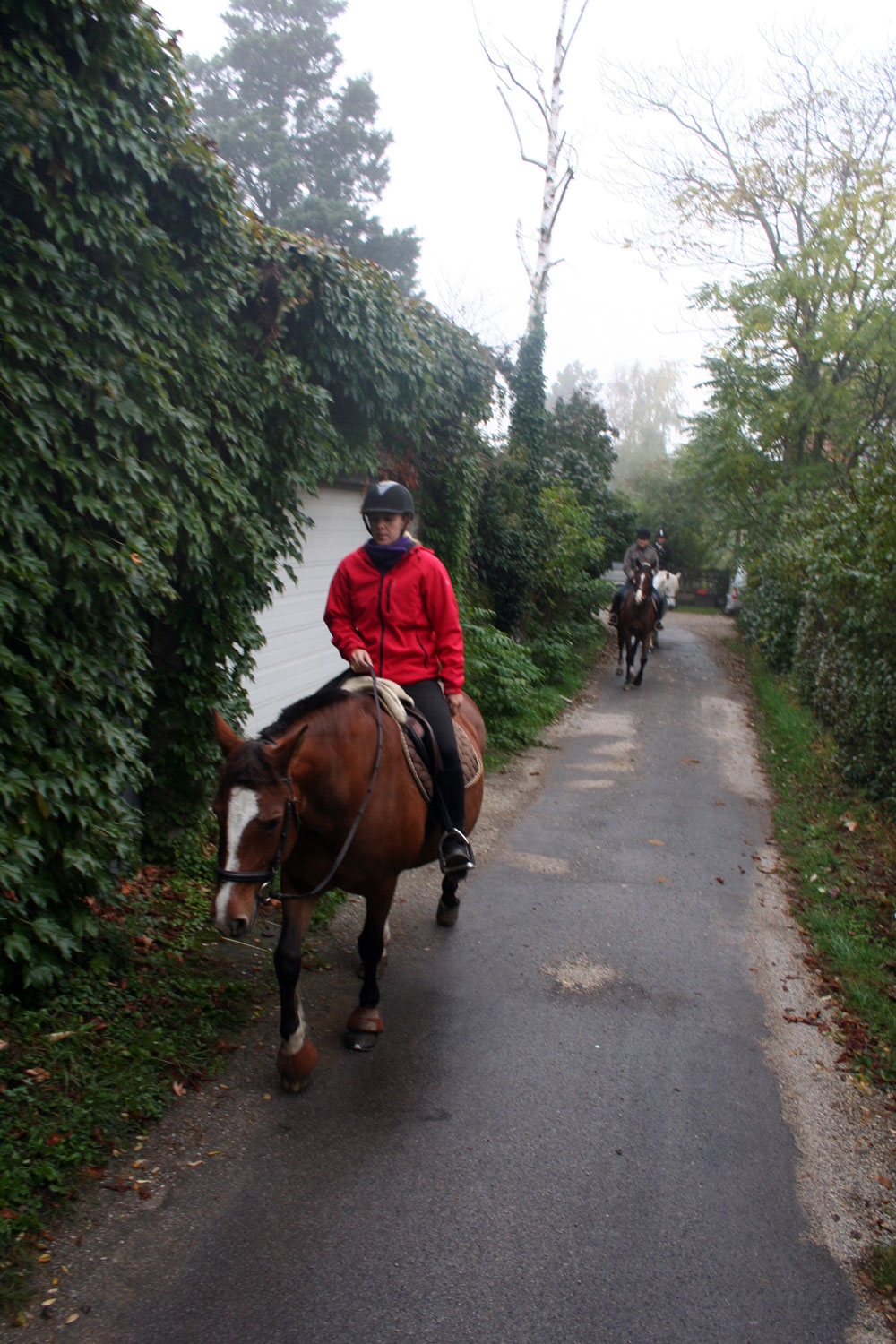 Vereinausritt des Reitvereines 2012 004 © Reitverein Apetlon-Pamhagen / Mitglieder