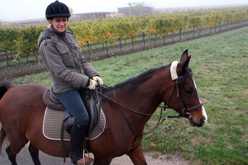 Vereinausritt des Reitvereines 2012 006 © Reitverein Apetlon-Pamhagen / Mitglieder