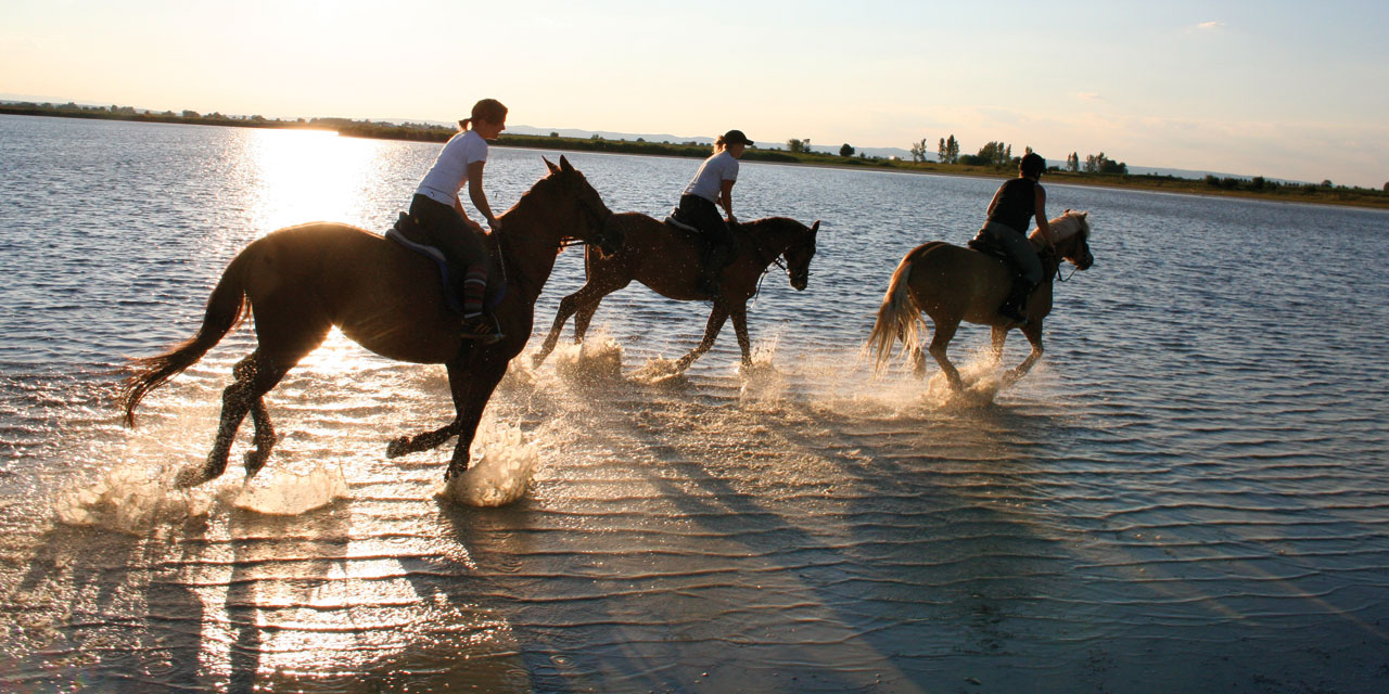 Galopp durchs Wasser am Darscho Warmsee - Reiterhof Sonja © Roland Vidmar / Reiterhof Sonja