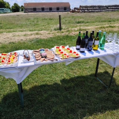 Kaltes Buffet beim Betriebsausflug mit Pferdekutsche © Reiterhof Sonja