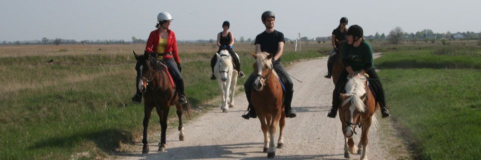 Ausreiten auf der Straße © Roland Vidmar