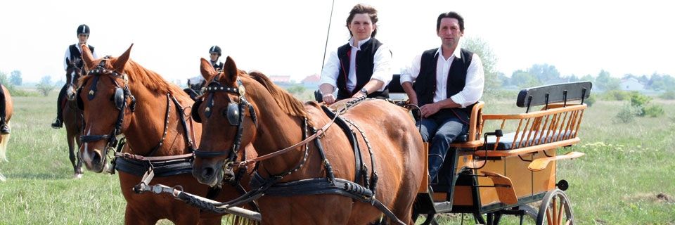 Kutschenfahrt im Burgenland mit der Pferdekutsche © Roland Vidmar