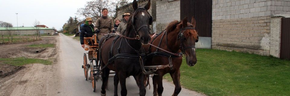 Pferdekutsche Burgenland: Hinter dem Stall bei der Ausfahrt mit der Pferdekutsche © Roland Vidmar