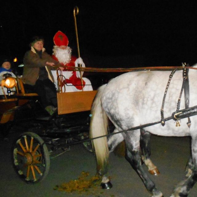 Nikolaus-Kutschenfahrt am Reiterhof Sonja © Sonja Kögl, Reiterhof Sonja